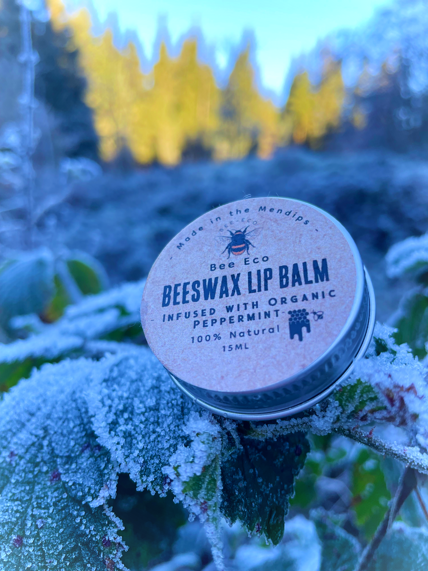 100% Organic Natural Beeswax Lip Balm